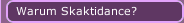 Warum Skaktidance?